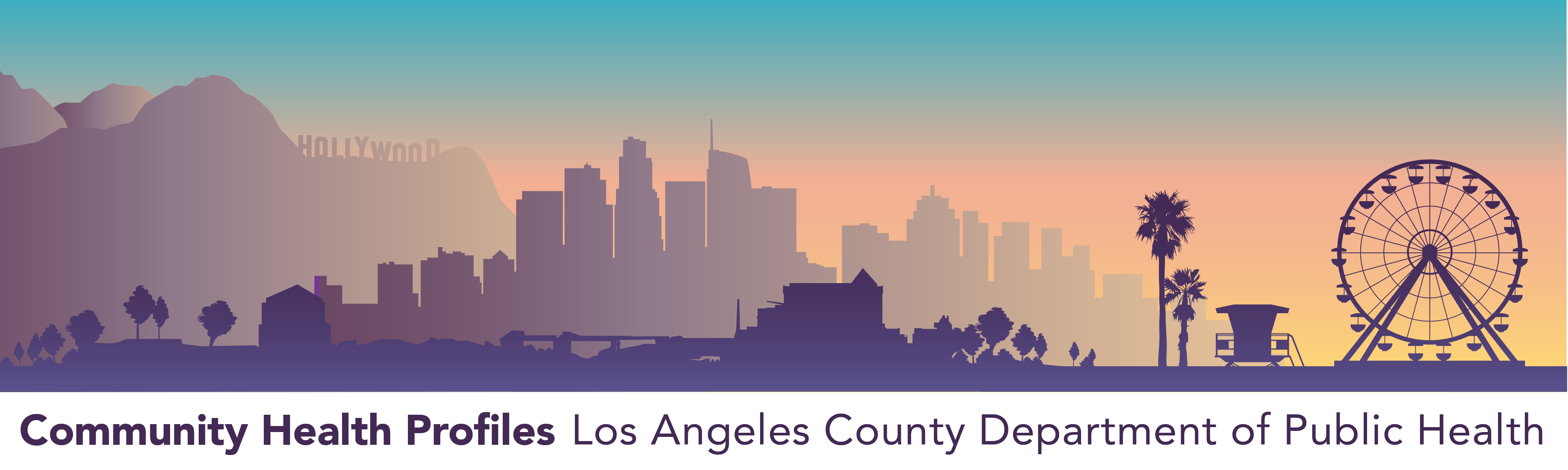 LA County Community Health Profile